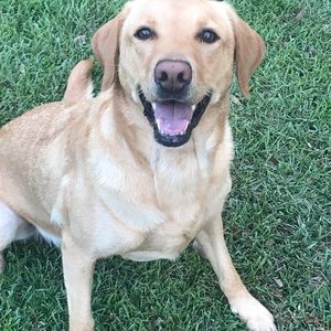 Meet your Posher, Carson